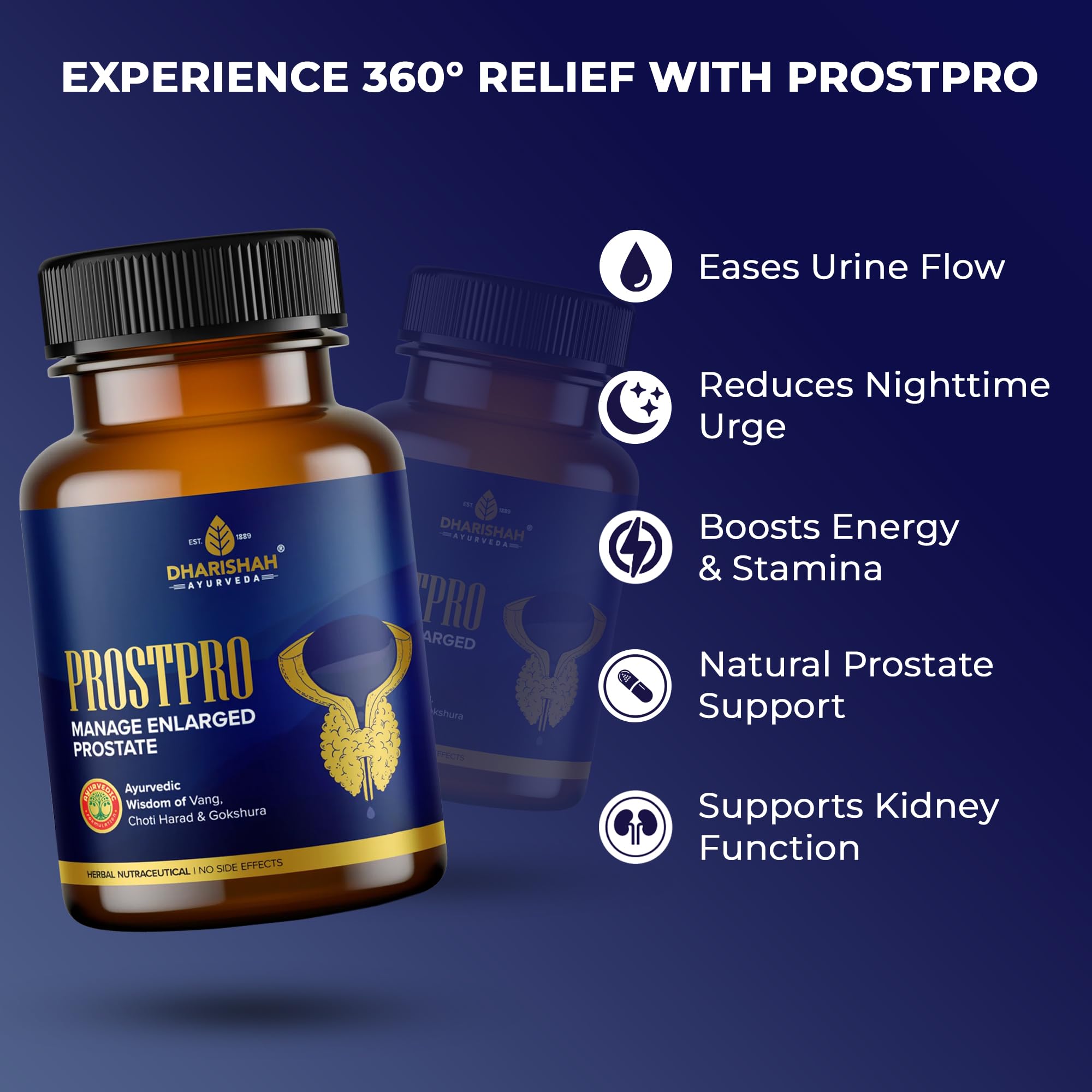 Dharishah Ayurveda ProstPro Herbal Supplement Capsules, Vegetarian, Gluten Free, GMP & AYUSH Certified - back view