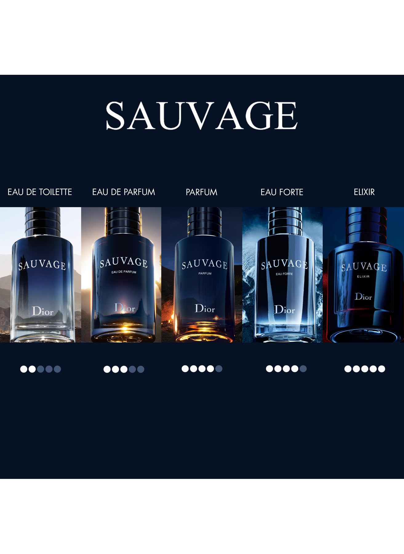 Dior Sauvage Elixir for Men Eau de Cologne, 100ml, Woody Spicy Scent - back view