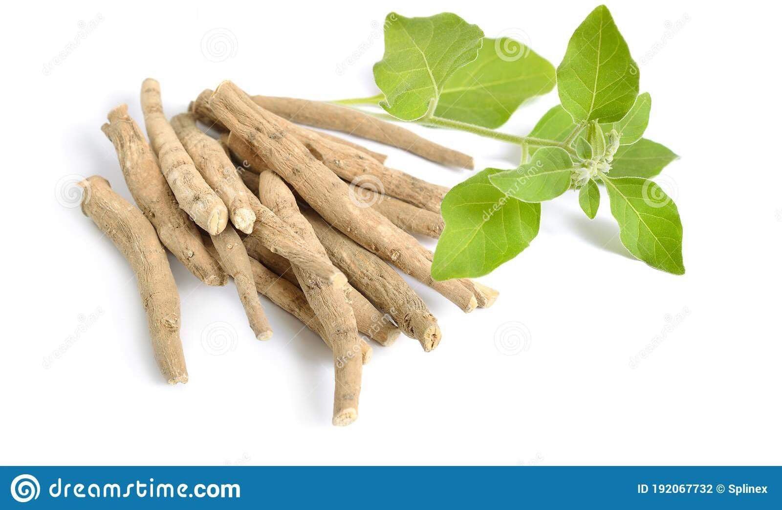 Dirghaanshi Ashwagandha Root (Withania Somnifer) Dried Whole Roots, 100g Herbal Supplement - front view
