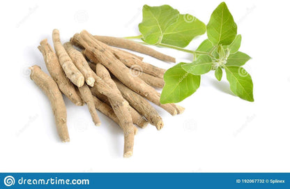 Dirghaanshi Ashwagandha Root (Withania Somnifer) Dried Whole Roots, 100g Herbal Supplement - front view