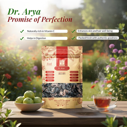 DR ARYA Dry Amla, 100g, Whole Dried Gooseberry Pieces, Seed-Free, No Salt - front view