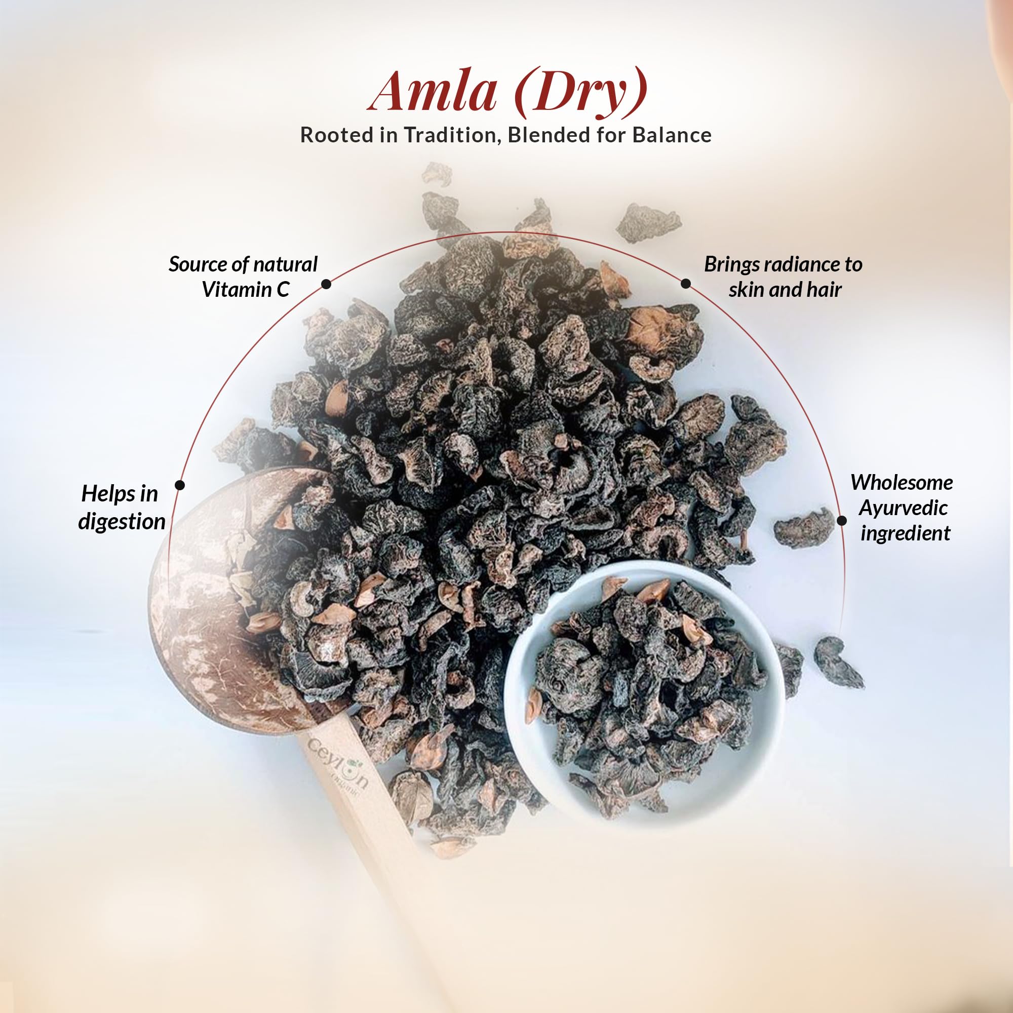 DR ARYA Dry Amla, 100g, Whole Dried Gooseberry Pieces, Seed-Free, No Salt - label detail