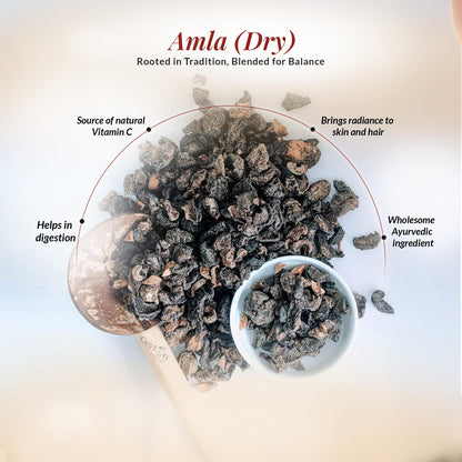 DR ARYA Dry Amla, 100g, Whole Dried Gooseberry Pieces, Seed-Free, No Salt - label detail