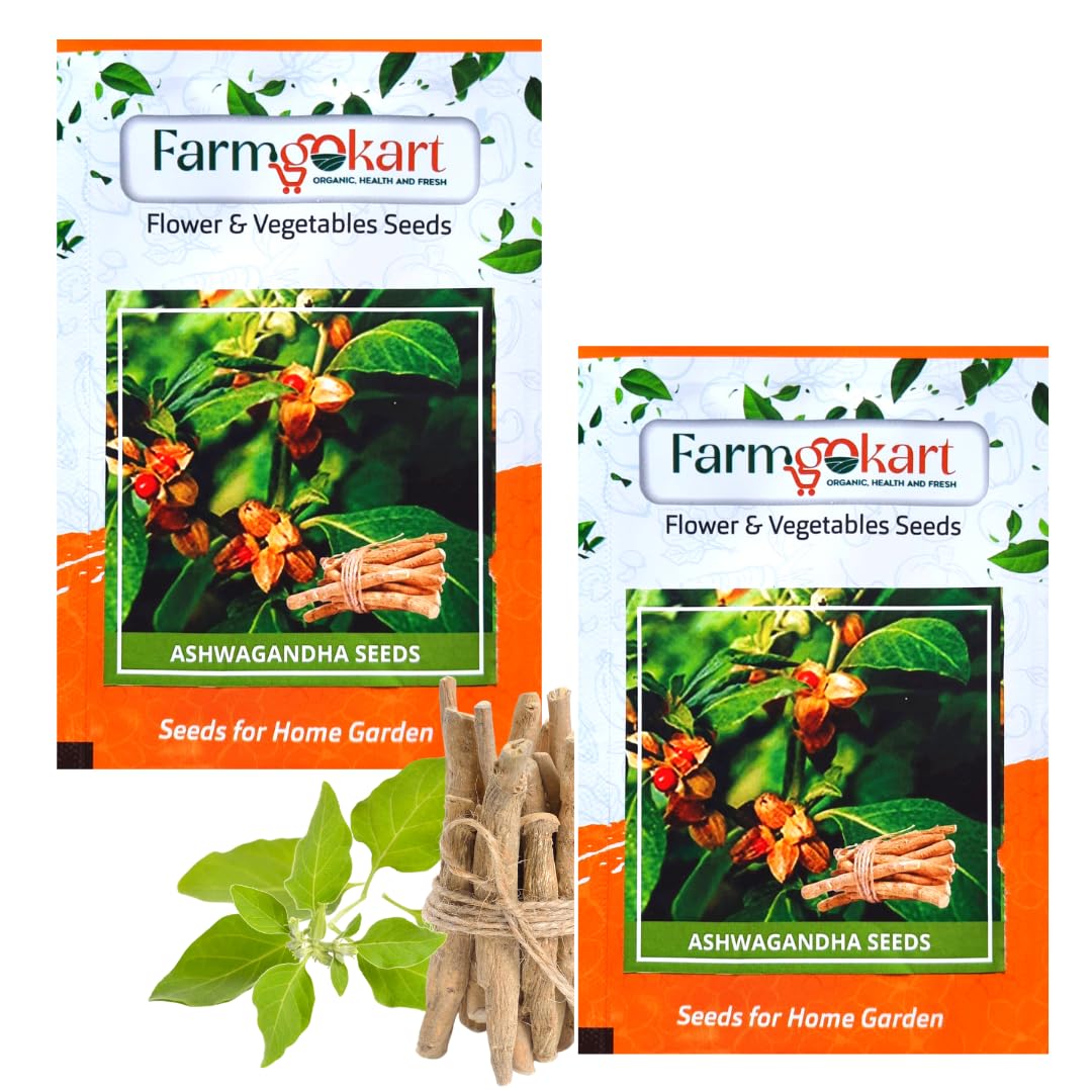 farmgokart Ashwagandha Herb Seeds, Open Pollinated, 1000 Seeds (2 Packs of 500)