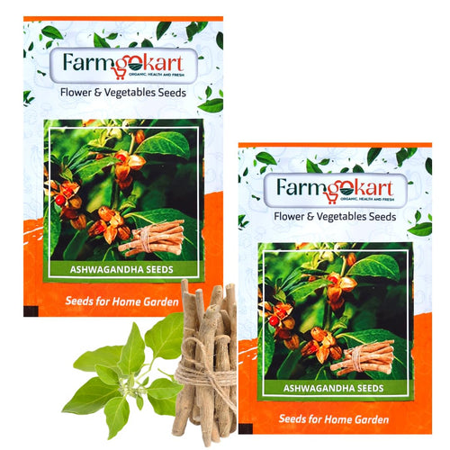 farmgokart Ashwagandha Herb Seeds, Open Pollinated, 1000 Seeds (2 Packs of 500)