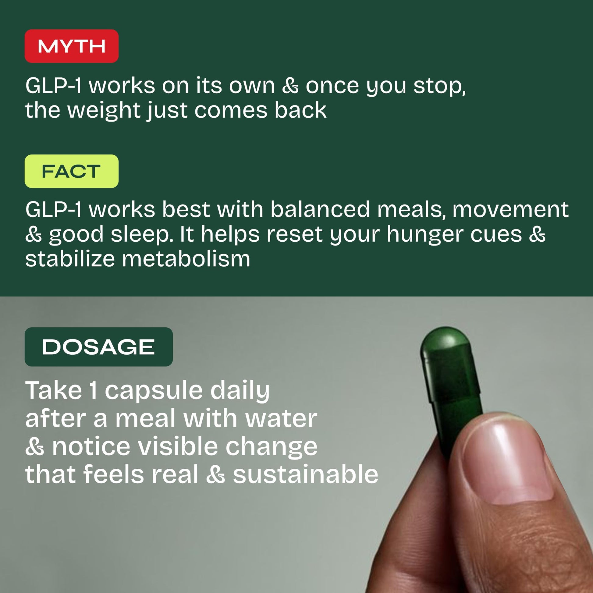 Fitty GLP-1 Daily Nutritional Supplement Capsules, 30 Capsules, Plant-Based, Sugar-Free - ingredients panel (12)