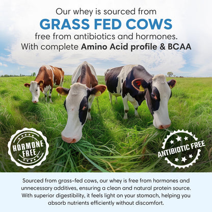 Foodstrong Whey Protein Isolate, Grass-Fed Hormone-Free, With Turmeric and Digestive Enzymes, No Added Sugar - front view