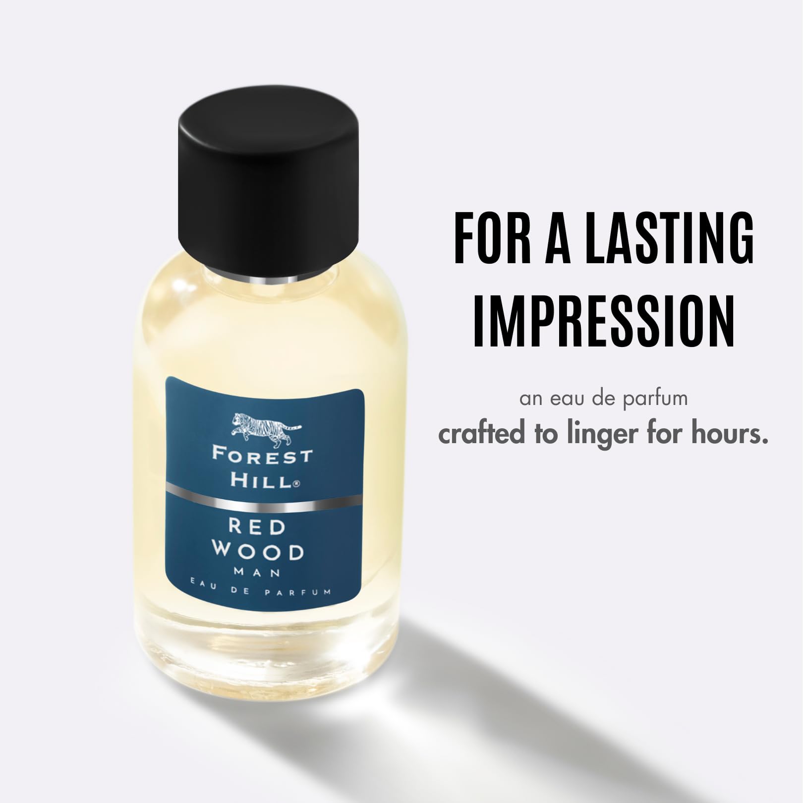 FOREST HILL Eau de Parfum Spray for Men, 300g, Adult Personal Fragrance - packaging (15)