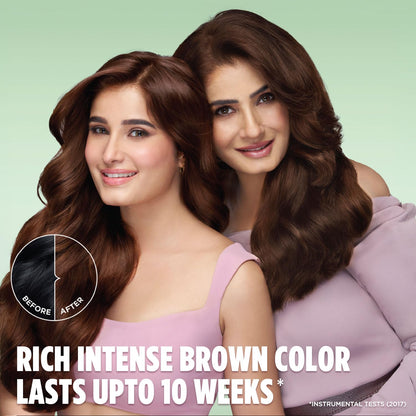 Garnier Color Naturals Permanent Hair Color, Ammonia Free, with Natural Oils and Keratin Serum, 1 Kit - front view (46)