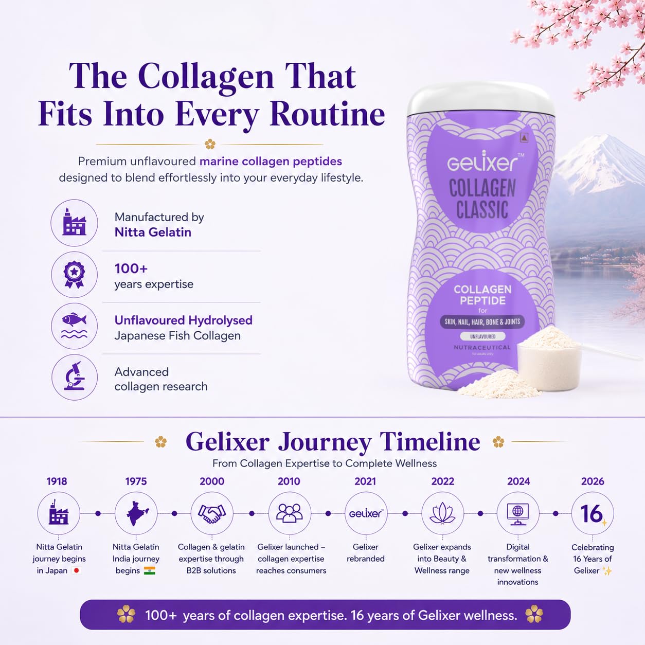 Gelixer Active Collagen Powder, Japanese Marine Collagen Peptide with Whey Protein, Unisex Adult Supplement - packaging (16)