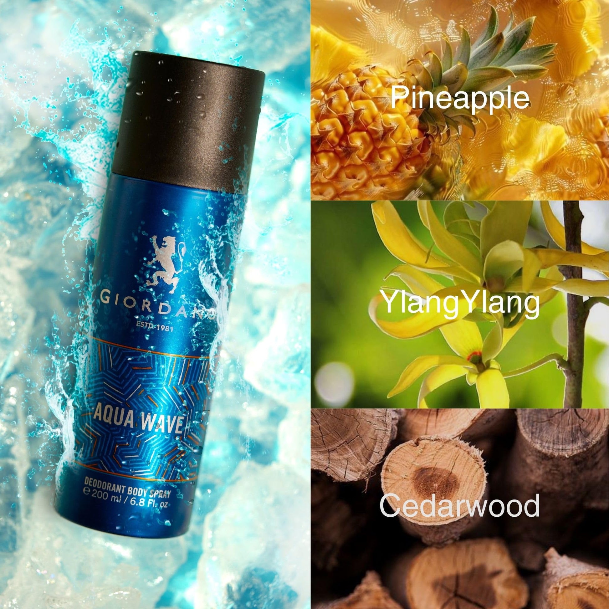 Giordano Aqua Wave Deodorant Spray for Men, 200ml, Body Spray with Pineapple and Cedarwood Fragrance - back view