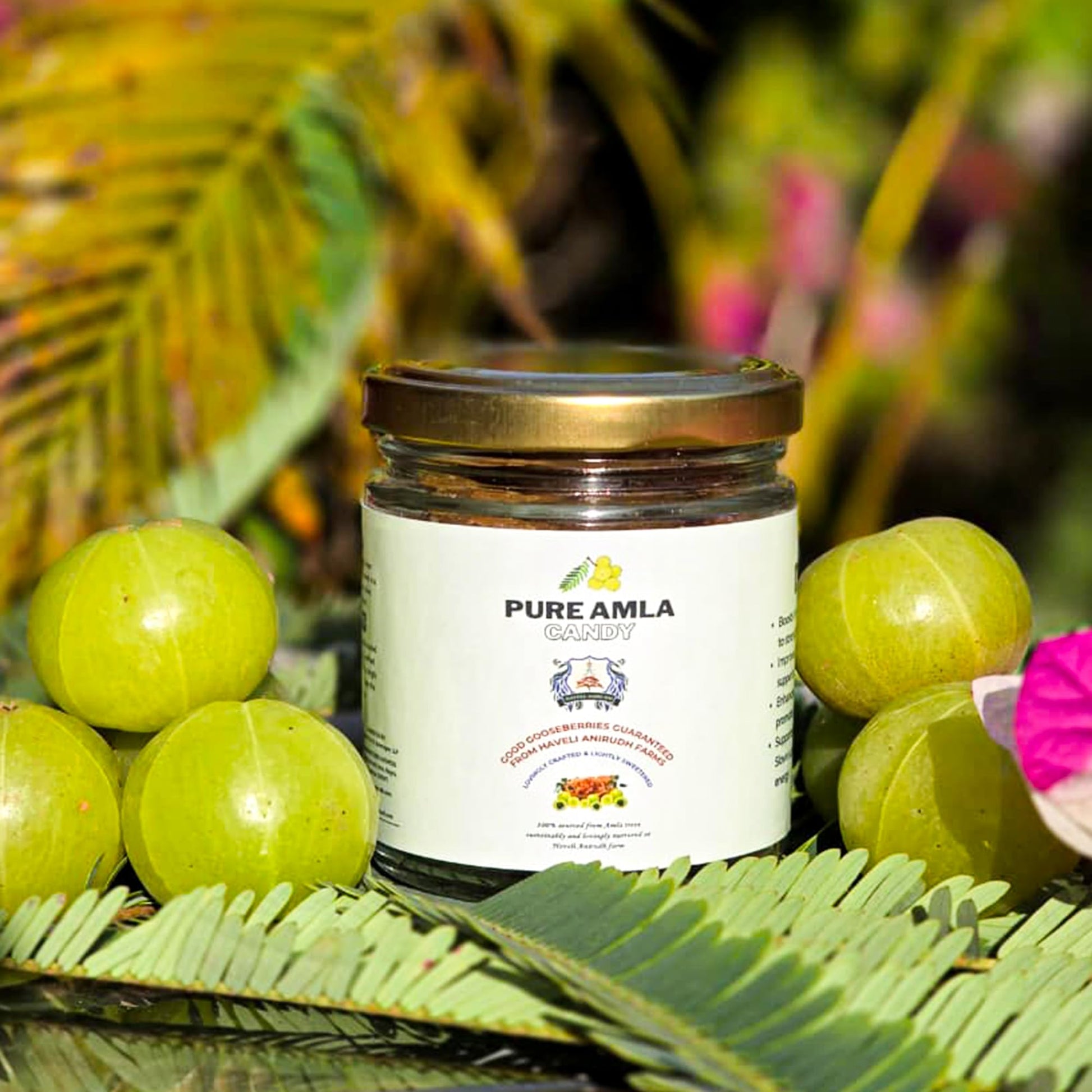 Haveli Anirudh Amla Gur Candy | Traditional Amla Candy with Jaggery | No Preservatives | Glass Jar - close-up detail
