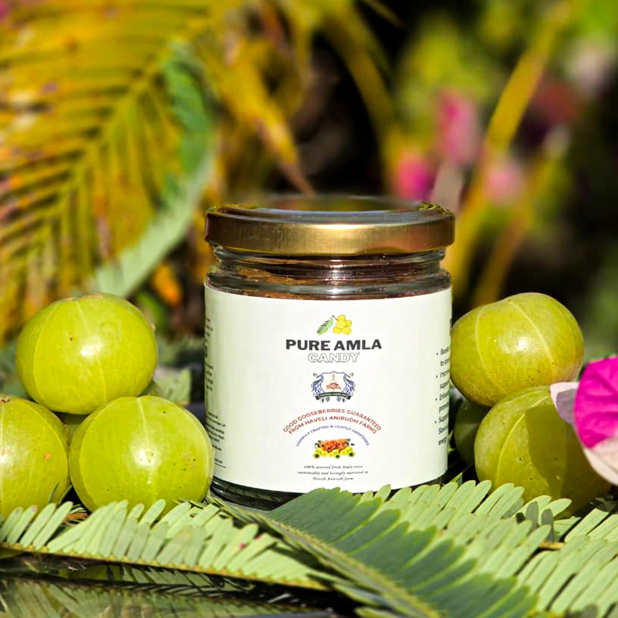 Haveli Anirudh Amla Gur Candy | Traditional Amla Candy with Jaggery | No Preservatives | Glass Jar - close-up detail