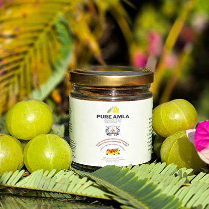 Haveli Anirudh Amla Gur Candy | Traditional Amla Candy with Jaggery | No Preservatives | Glass Jar - close-up detail