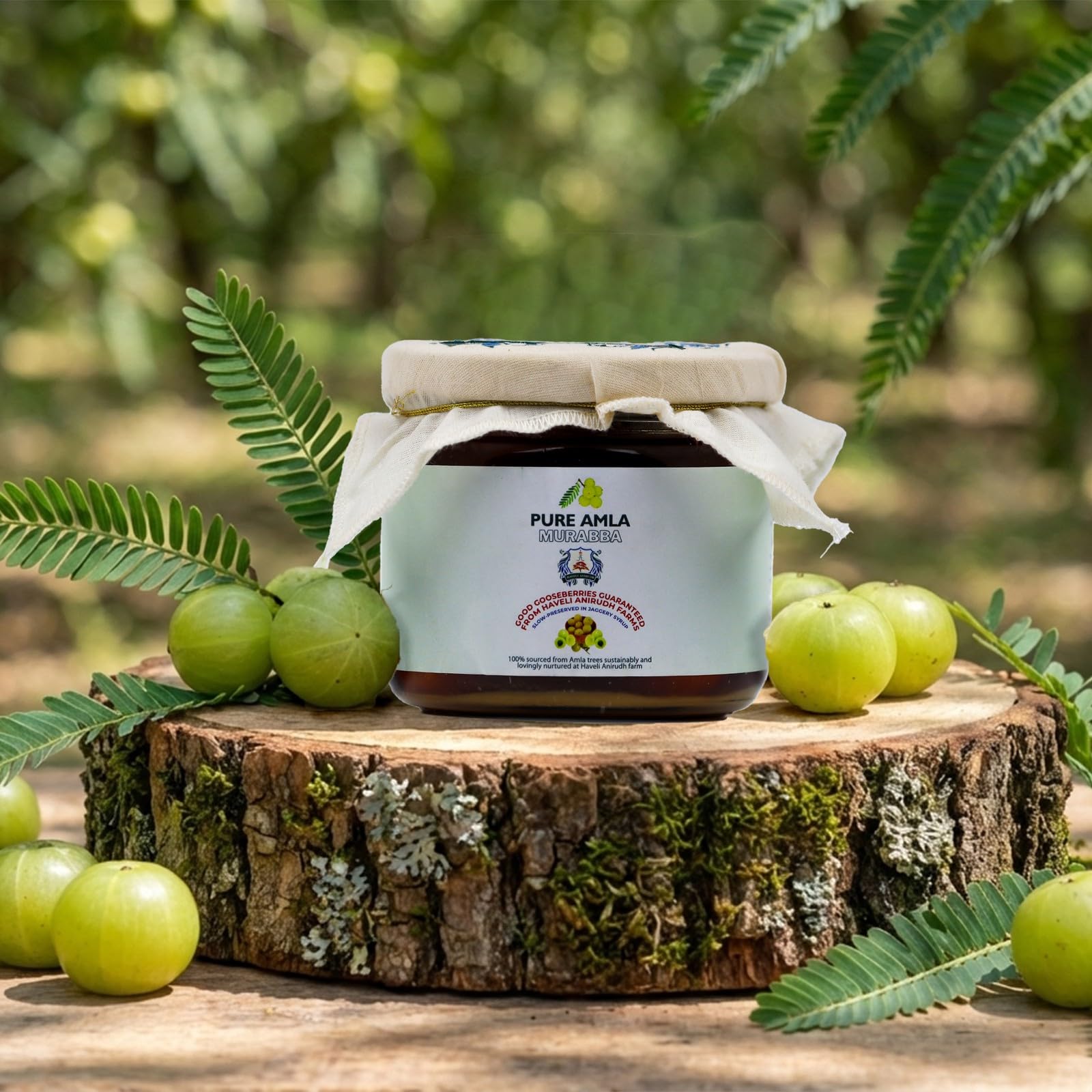 Haveli Anirudh Amla Gur Murabba, Whole Gooseberry Preserve in Jaggery with Cardamom, 200g, Glass Jar - front view (7)