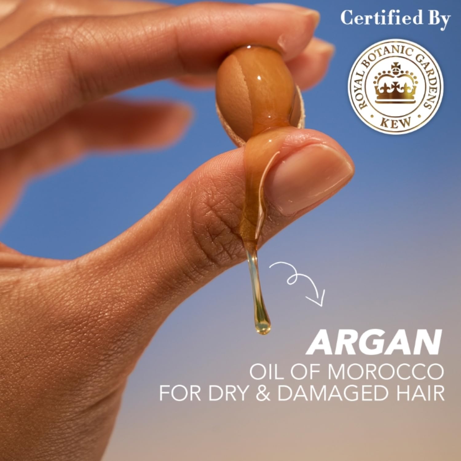 Herbal Essences Moroccan Argan Oil Shampoo, 400ml, Color-Safe, pH-Balanced Formula with Botanical Ingredients for Adult Men &