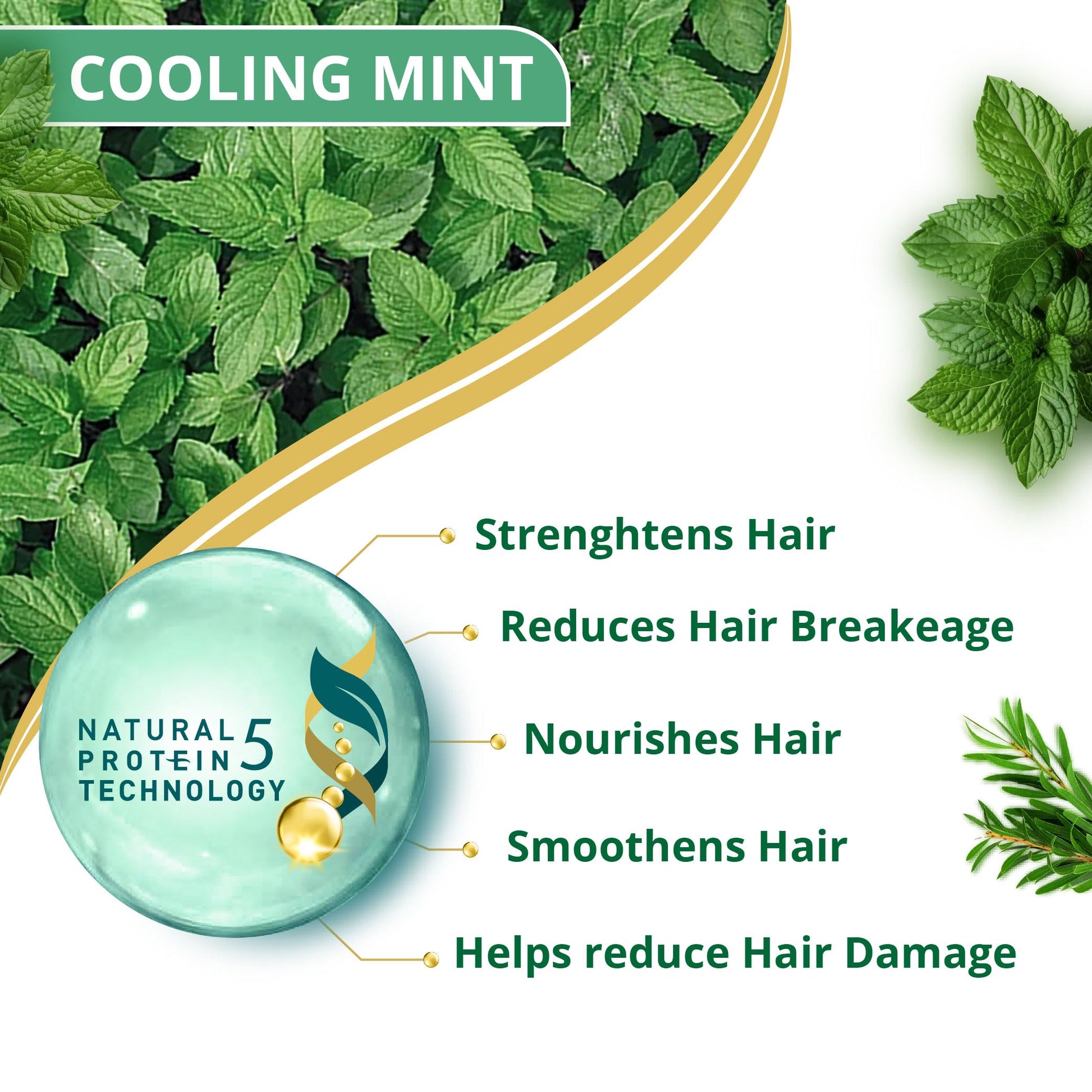 Himalaya Anti-Dandruff Shampoo with Tea Tree Oil and Aloe Vera, Herbal Scalp Shampoo - label detail (19)