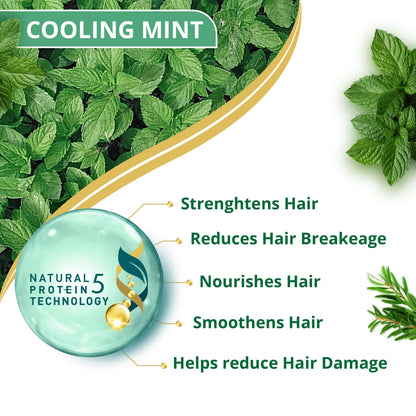 Himalaya Anti-Dandruff Shampoo with Tea Tree Oil and Aloe Vera, Herbal Scalp Shampoo - label detail (19)