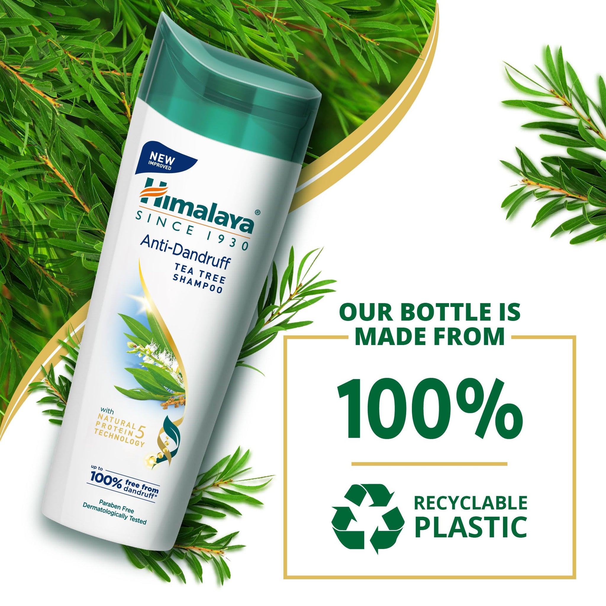 Himalaya Anti-Dandruff Shampoo with Tea Tree Oil and Aloe Vera, Herbal Scalp Shampoo - ingredients panel (24)