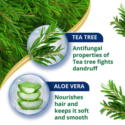 Himalaya Anti-Dandruff Shampoo with Tea Tree Oil and Aloe Vera, Herbal Scalp Shampoo - packaging