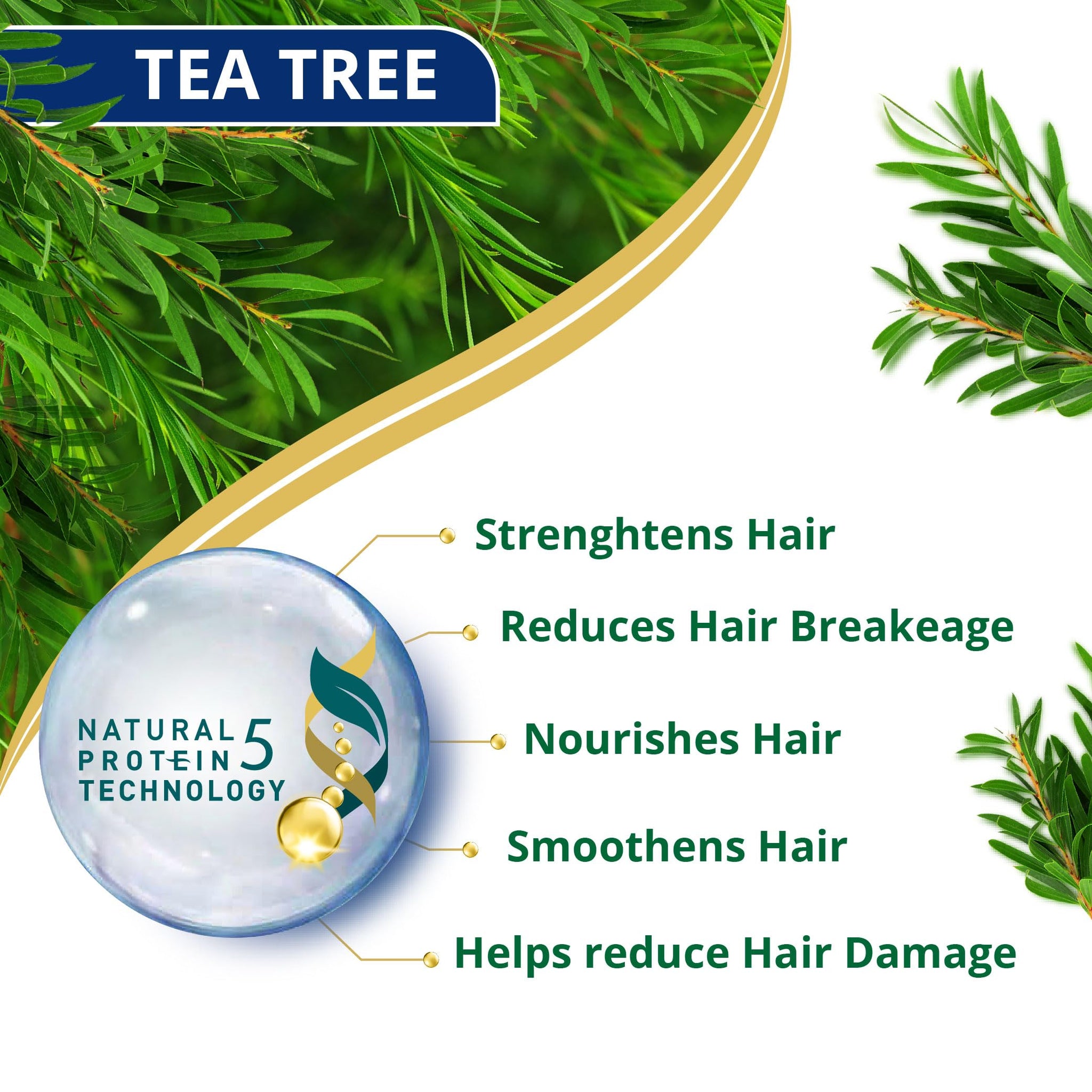 Himalaya Anti-Dandruff Shampoo with Tea Tree Oil and Aloe Vera, Herbal Scalp Shampoo - label detail