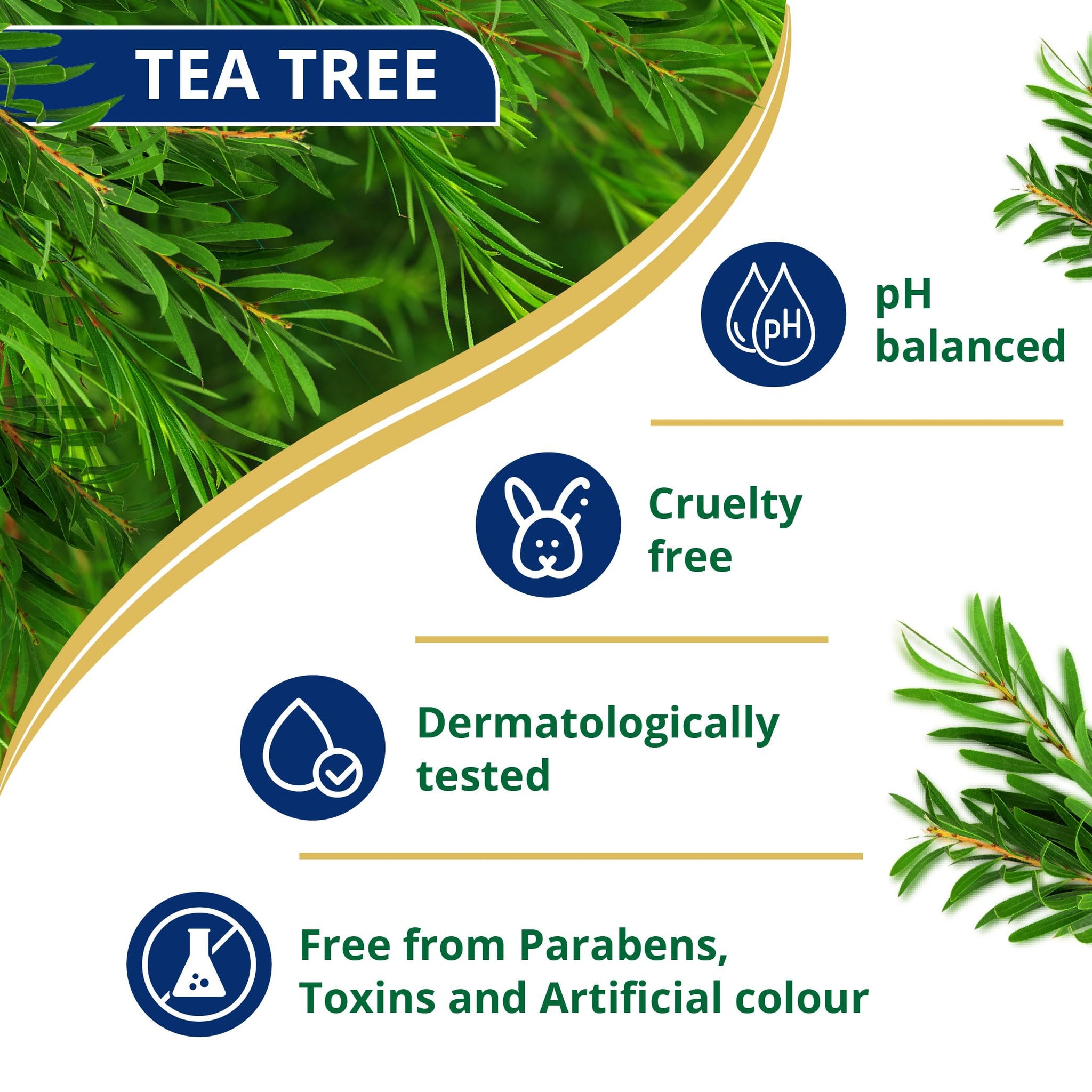 Himalaya Anti-Dandruff Shampoo with Tea Tree Oil and Aloe Vera, Herbal Scalp Shampoo - close-up detail