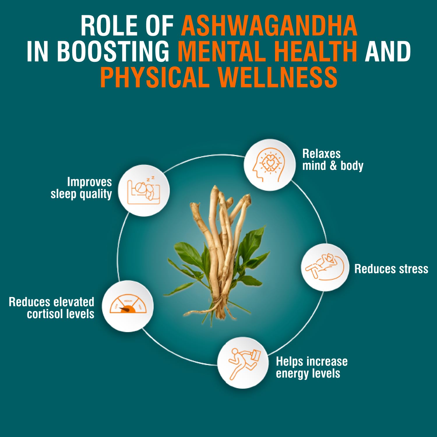 Himalaya Ashwagandha Root Extract Tablets, Herbal Supplement for Adults - back view