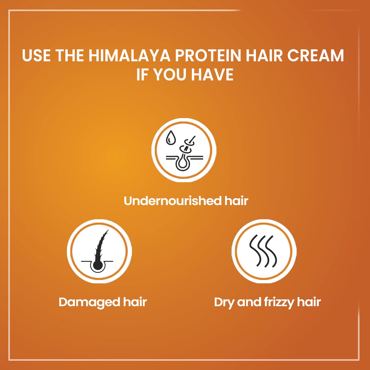 Himalaya Protein Hair Cream with Chickpea and Amla, 100g, Non-Sticky Conditioner for Men and Women - label detail