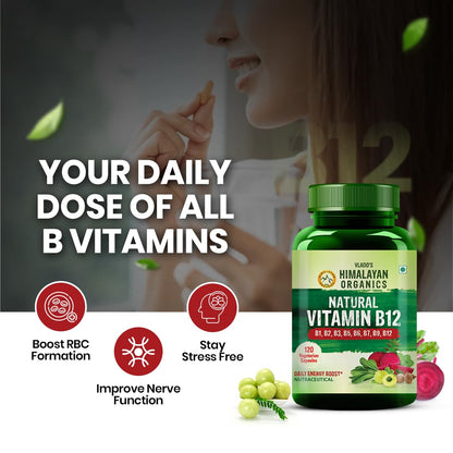 Himalayan Organics Vitamin B12 Supplement, Plant Based B-Complex with Moringa, Veg Tablets - back view (6)