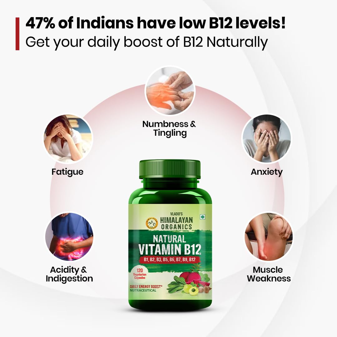 Himalayan Organics Vitamin B12 Supplement, Plant Based B-Complex with Moringa, Veg Tablets - label detail