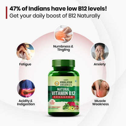 Himalayan Organics Vitamin B12 Supplement, Plant Based B-Complex with Moringa, Veg Tablets - label detail