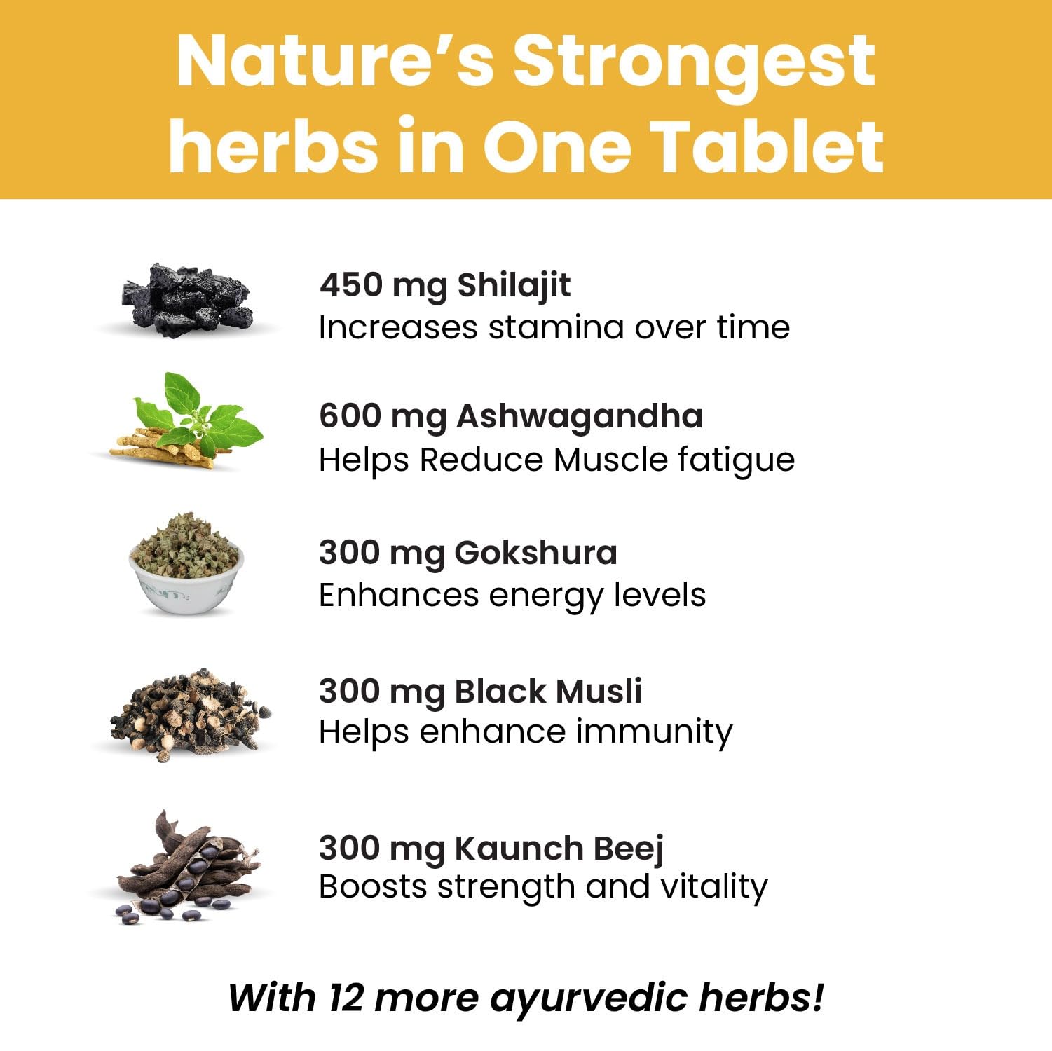 HIMALAYAN ORGANICS Vlado's Men's Supplement, 90 Veg Tablets, 2800mg+ with Ashwagandha, Shilajit, Kaunch Beej - back view