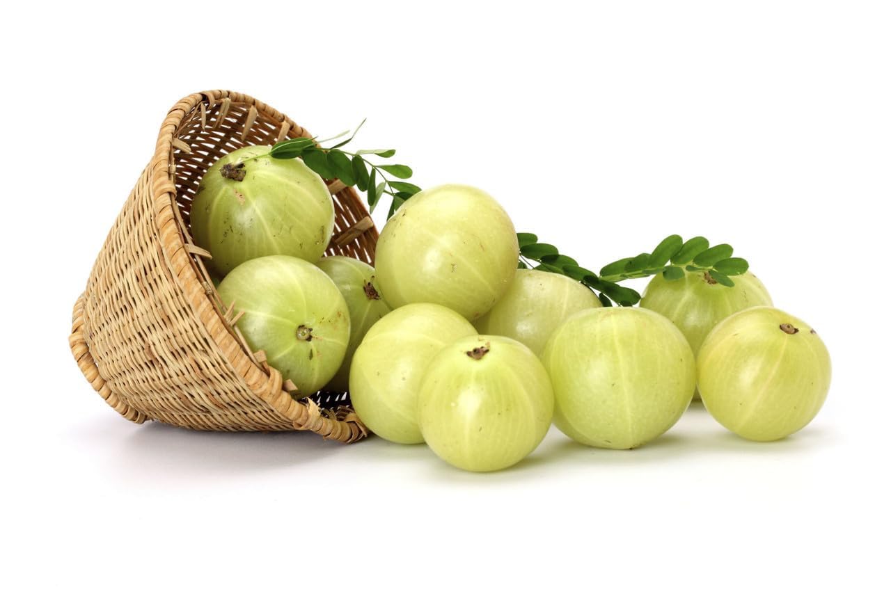 HOUSE OF NUTS N SPICES Sweet Amla Candy 250gm | Sweet & Tangy Indian Gooseberry Candy | Digestive Candy Rich in Vitamin C | H