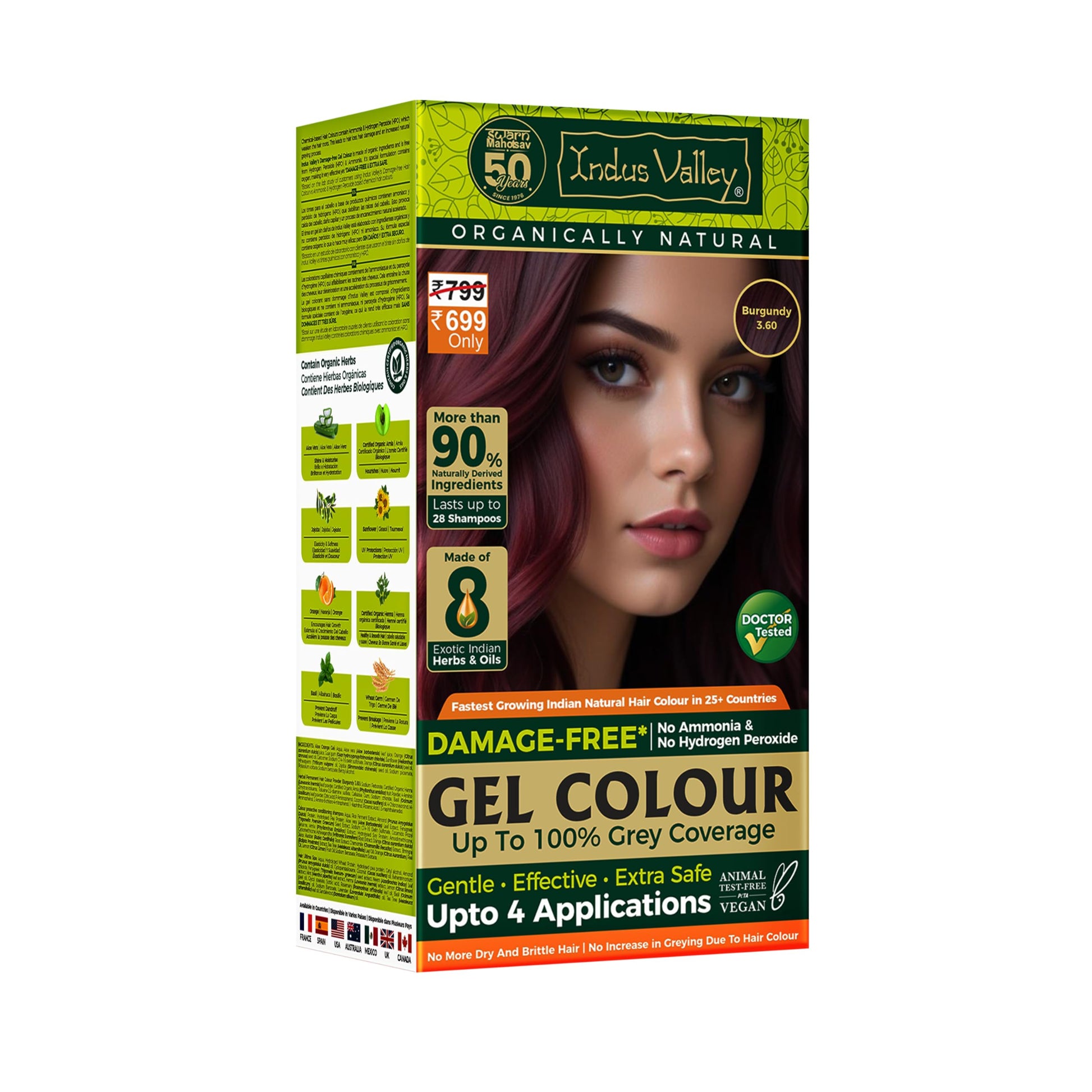 INDUS VALLEY Semi-Permanent Hair Colour Gel, Ammonia & PPD Free, Organic Herbs, Grey Coverage, 220ml (10)