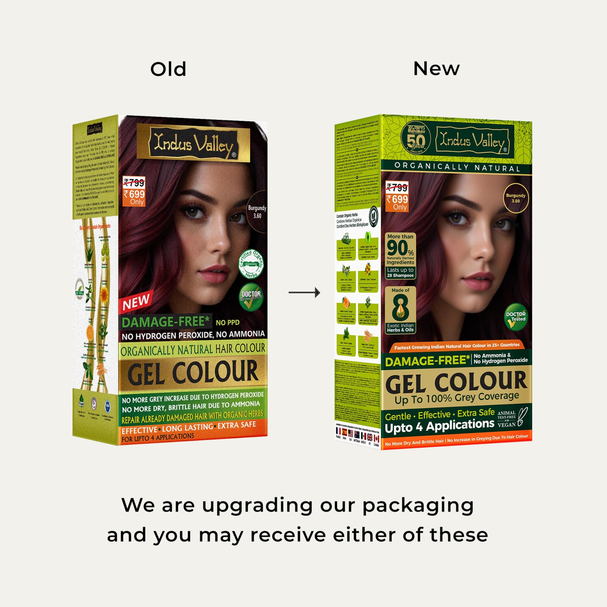 INDUS VALLEY Semi-Permanent Hair Colour Gel, Ammonia & PPD Free, Organic Herbs, Grey Coverage, 220ml - size and scale (18)