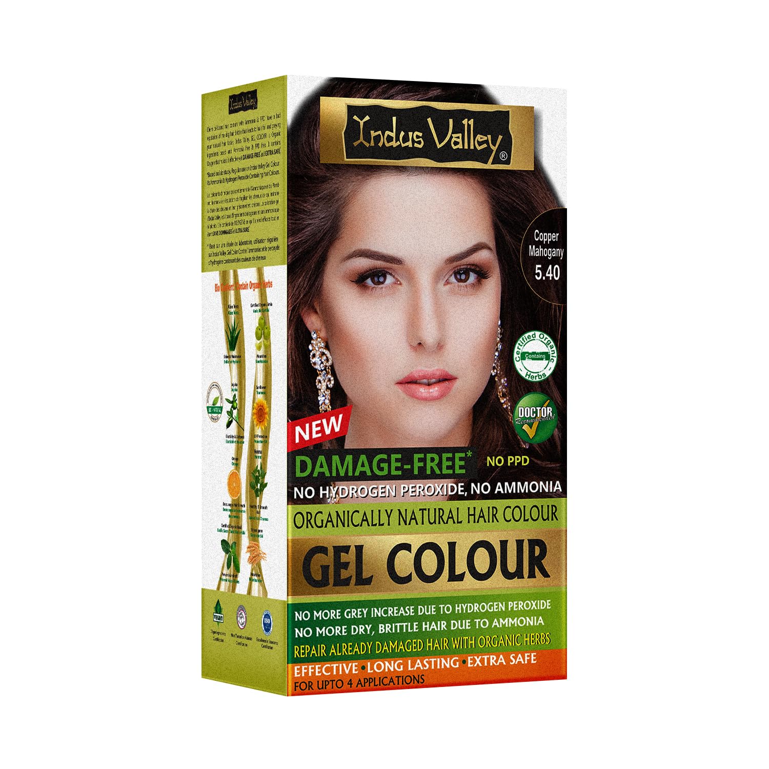 INDUS VALLEY Semi-Permanent Hair Colour Gel, Ammonia & PPD Free, Organic Herbs, Grey Coverage, 220ml (19)