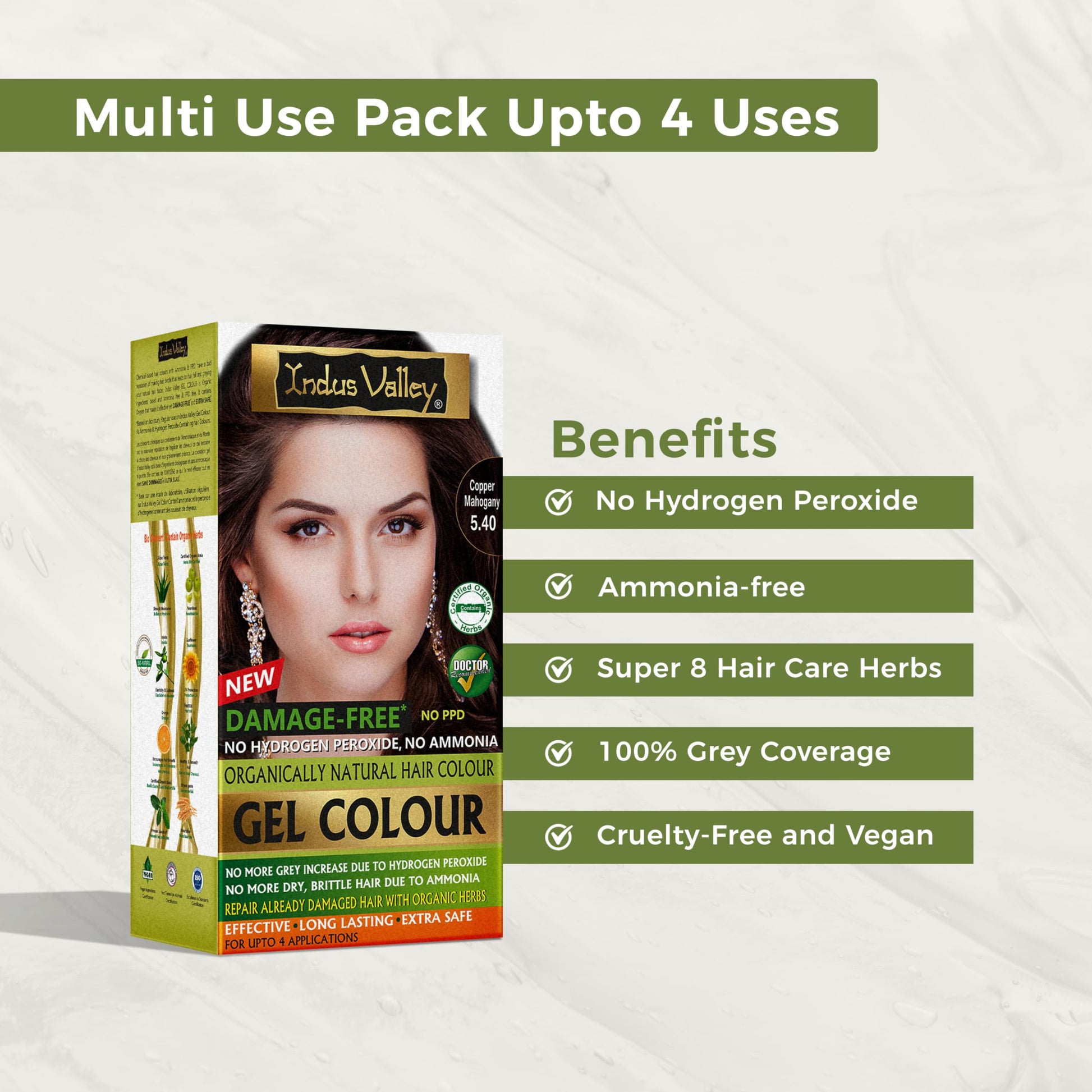 INDUS VALLEY Semi-Permanent Hair Colour Gel, Ammonia & PPD Free, Organic Herbs, Grey Coverage, 220ml - front view (20)