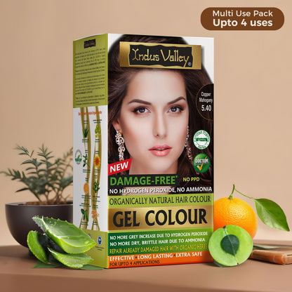 INDUS VALLEY Semi-Permanent Hair Colour Gel, Ammonia & PPD Free, Organic Herbs, Grey Coverage, 220ml - close-up detail (25)