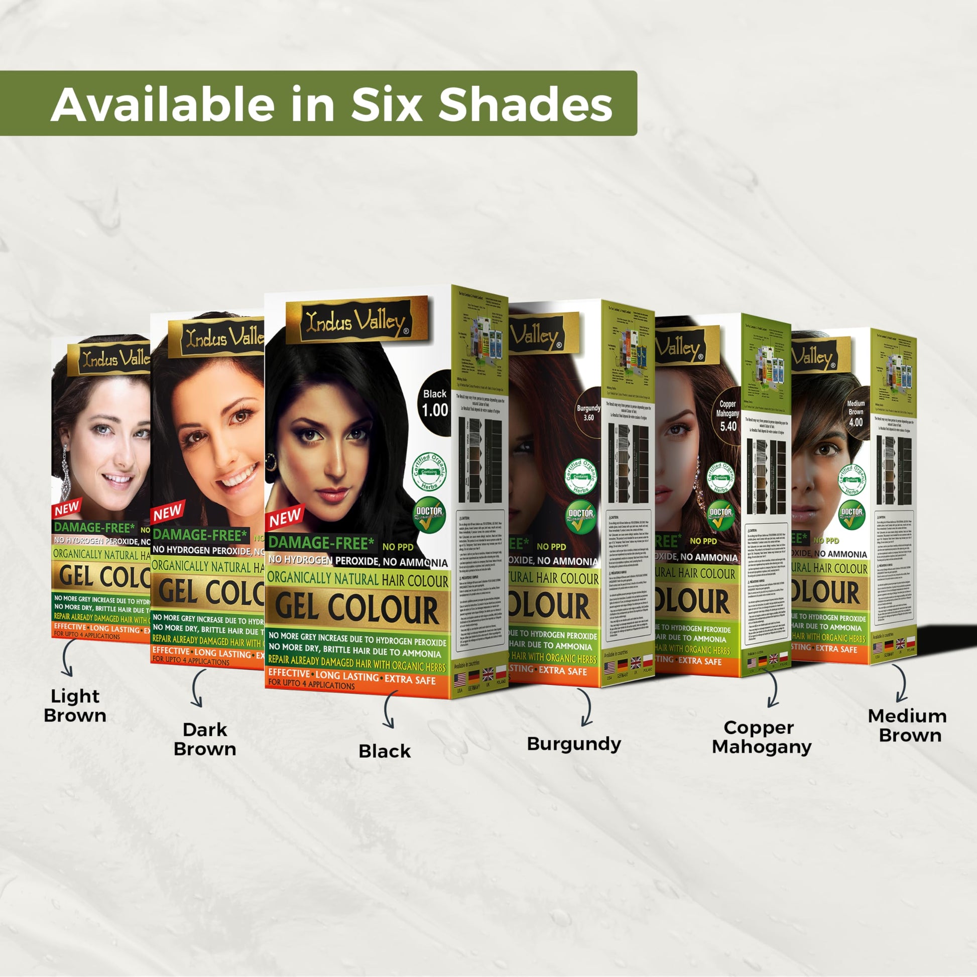 INDUS VALLEY Semi-Permanent Hair Colour Gel, Ammonia & PPD Free, Organic Herbs, Grey Coverage, 220ml - ingredients panel (32)