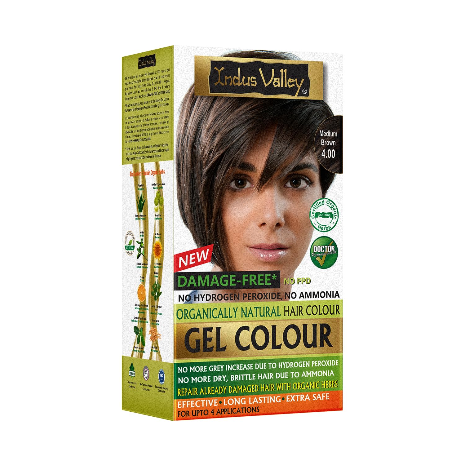INDUS VALLEY Semi-Permanent Hair Colour Gel, Ammonia & PPD Free, Organic Herbs, Grey Coverage, 220ml (45)