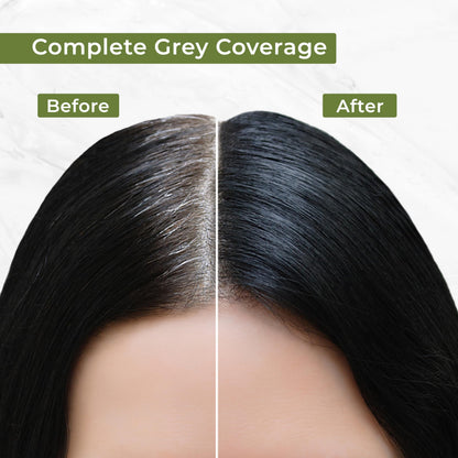 INDUS VALLEY Semi-Permanent Hair Colour Gel, Ammonia & PPD Free, Organic Herbs, Grey Coverage, 220ml - ingredients panel
