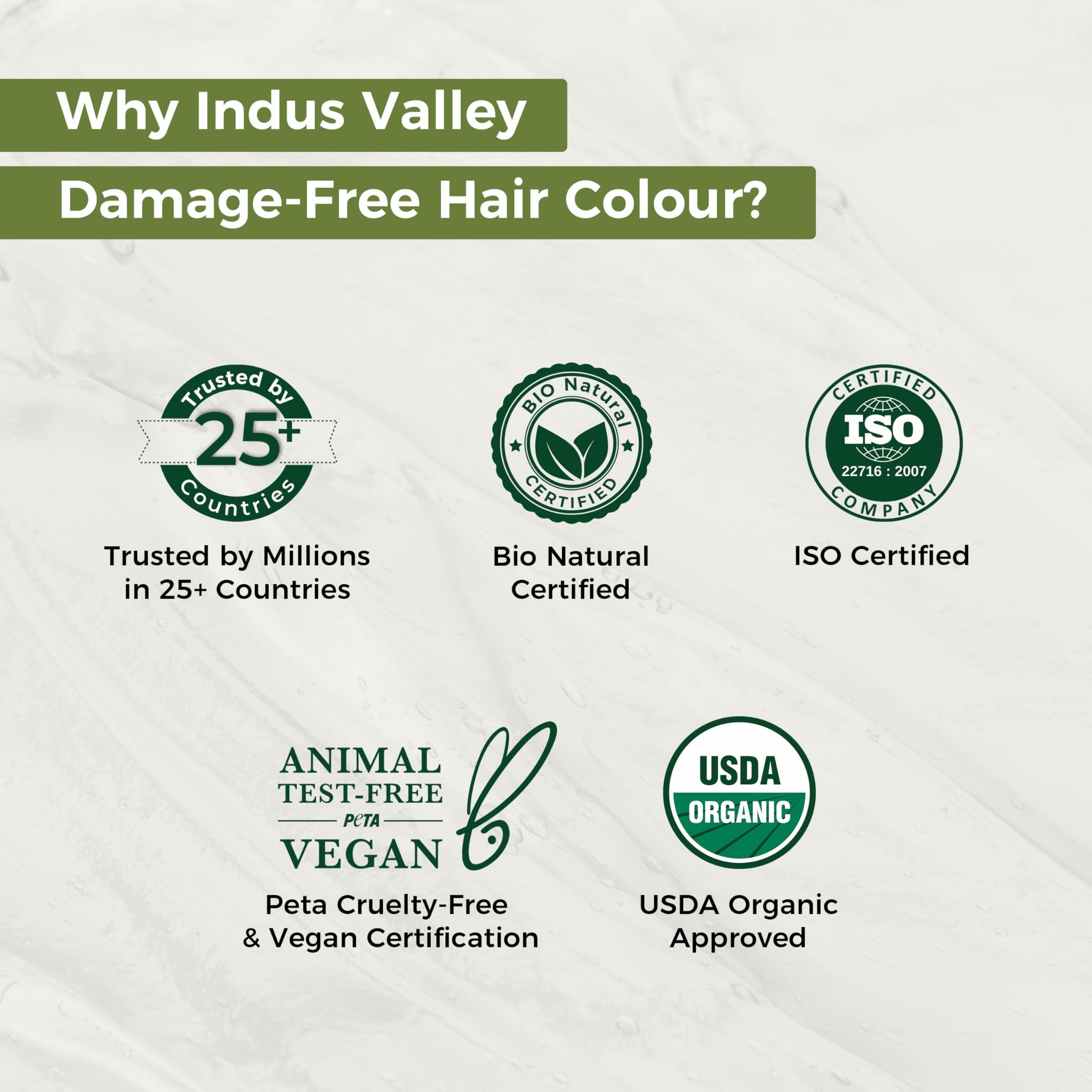 INDUS VALLEY Semi-Permanent Hair Colour Gel, Ammonia & PPD Free, Organic Herbs, Grey Coverage, 220ml - size and scale
