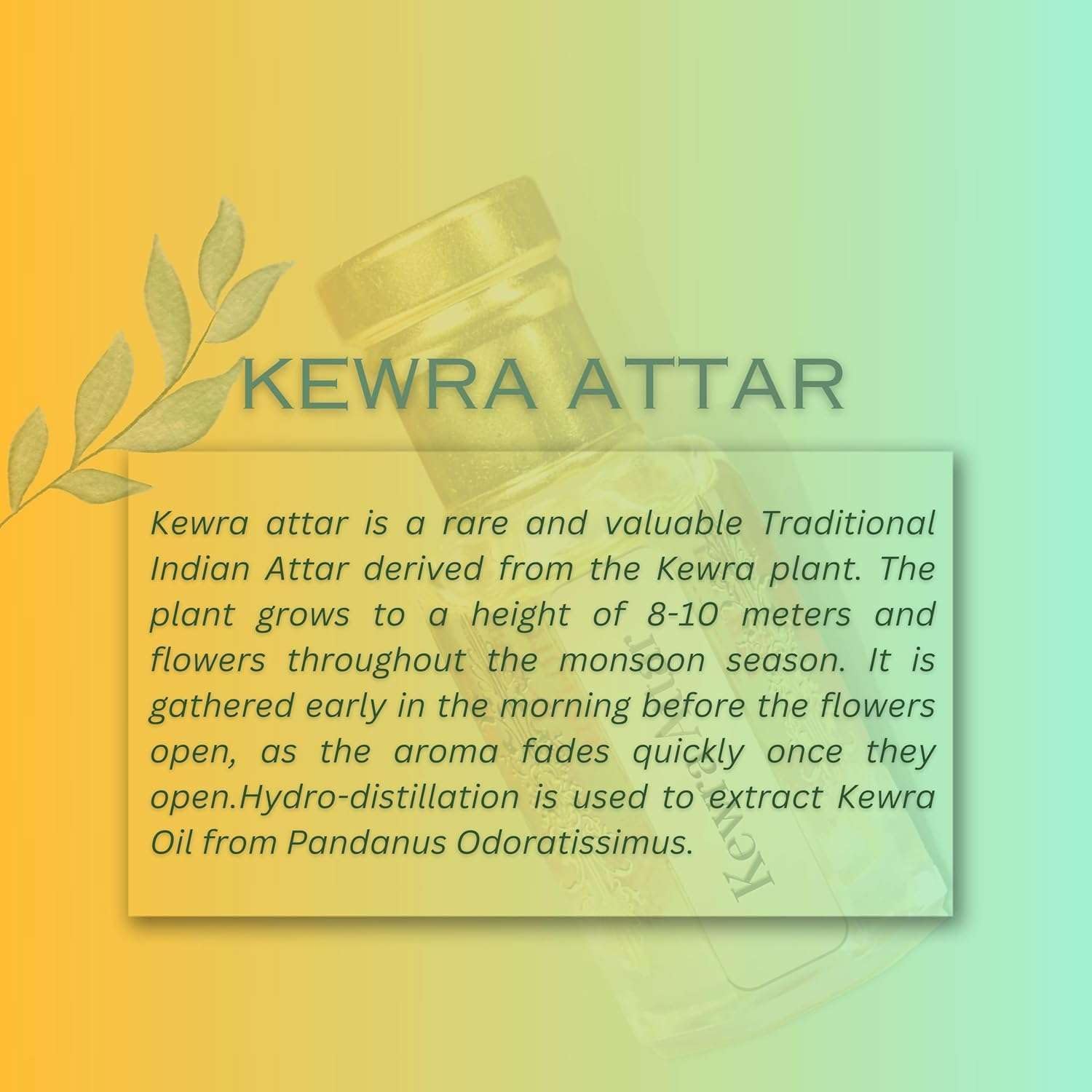 Inoichi Kewada Attar 3ML, Original Kannauj Floral Perfume Oil for Men & Women, Alcohol-Free - label detail