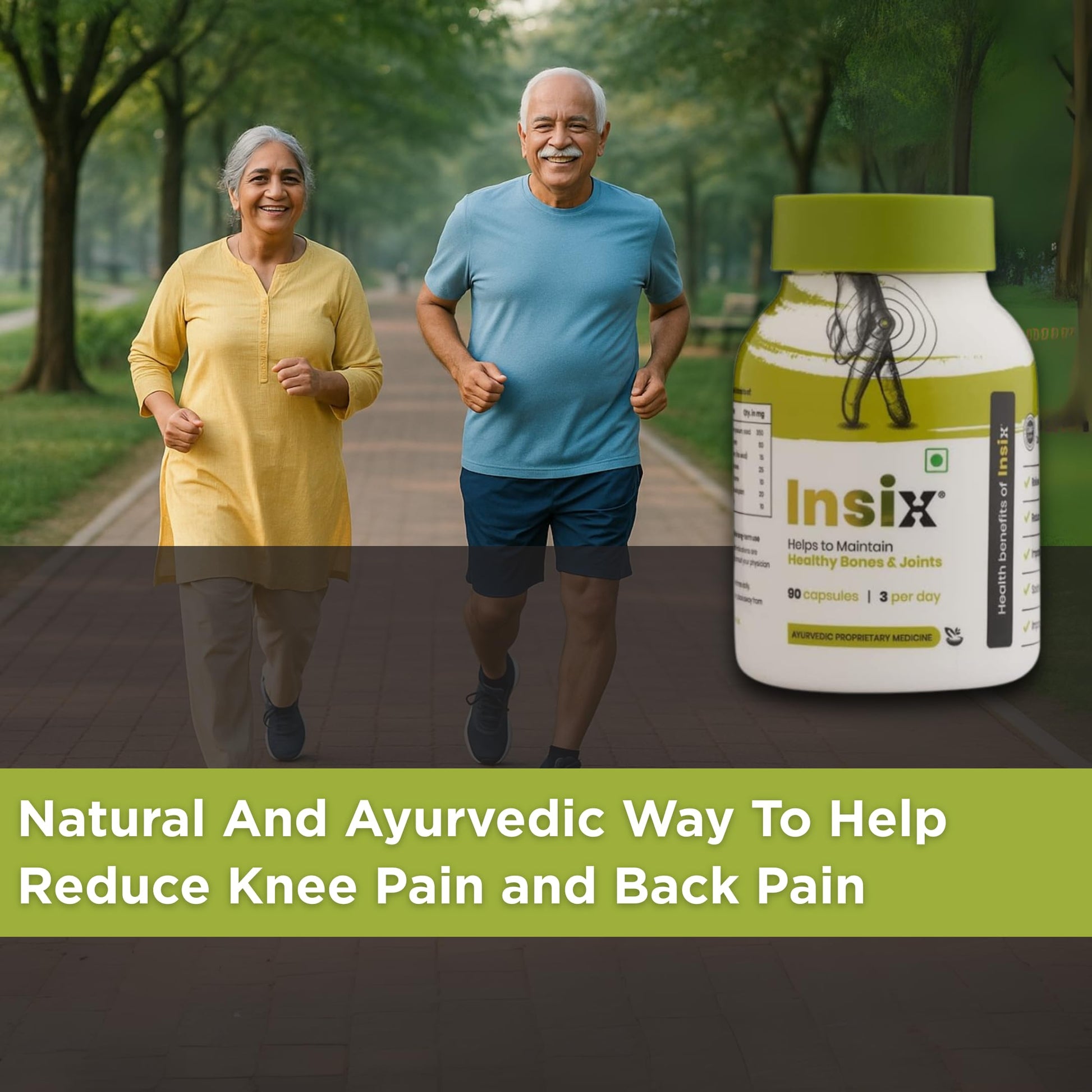 INSIX Ayurvedic Herbal Supplement, 90 Veg Capsules, 7 Herb Blend with Fenugreek, Turmeric, Black Pepper - back view