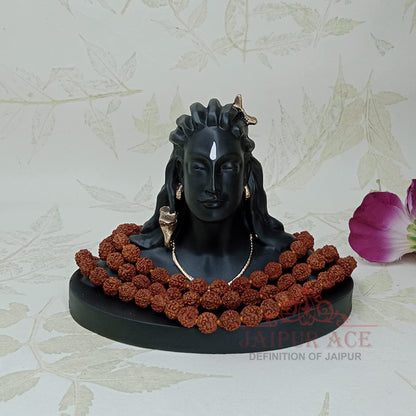 JAIPUR ACE Adiyogi Shiva Statue, Resin Idol for Car Dashboard & Home Decor - label detail (13)