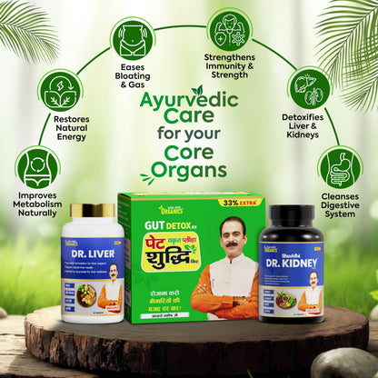 Jeena Sikho Organics Dr. Liver Tablets, 60 Count, Herbal Supplement with Bhumi Amla, Punarnava, Bhringraj and Giloy - packagi