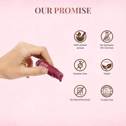 Just Herbs Serum-infused Lip Gloss for Women, 4 x 4g, High-Pigment Non-Sticky Ayurvedic Lip Color - ingredients panel (13)