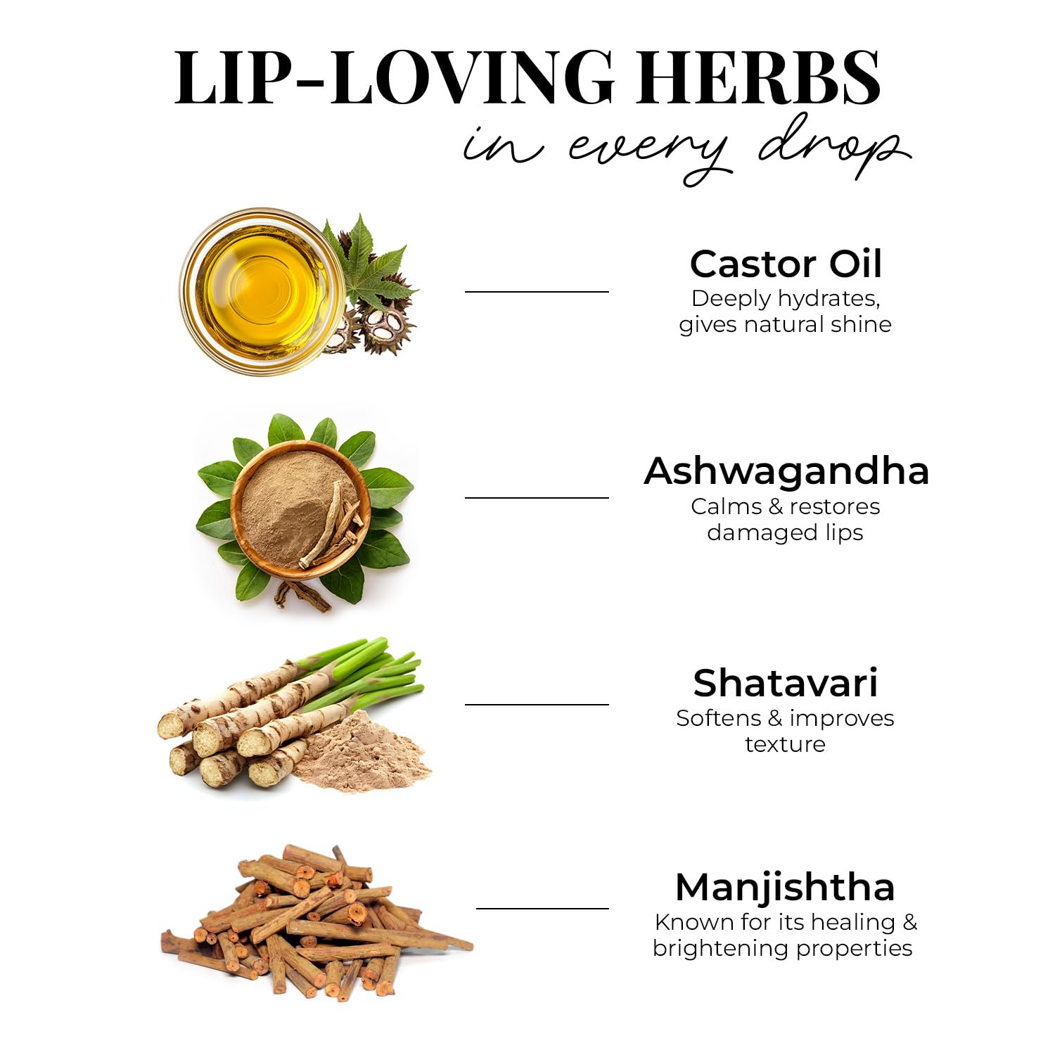 Just Herbs Serum-infused Lip Gloss for Women, 4 x 4g, High-Pigment Non-Sticky Ayurvedic Lip Color - label detail