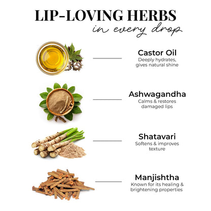 Just Herbs Serum-infused Lip Gloss for Women, 4 x 4g, High-Pigment Non-Sticky Ayurvedic Lip Color - label detail