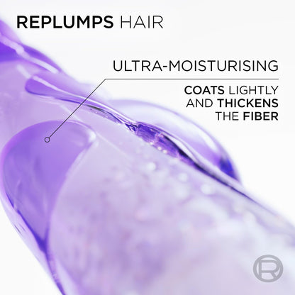 L'Oreal Paris Hyaluron Moisture 72HR Moisture Filling Shampoo with Hyaluronic Acid, for Dry Hair - ingredients panel (15)